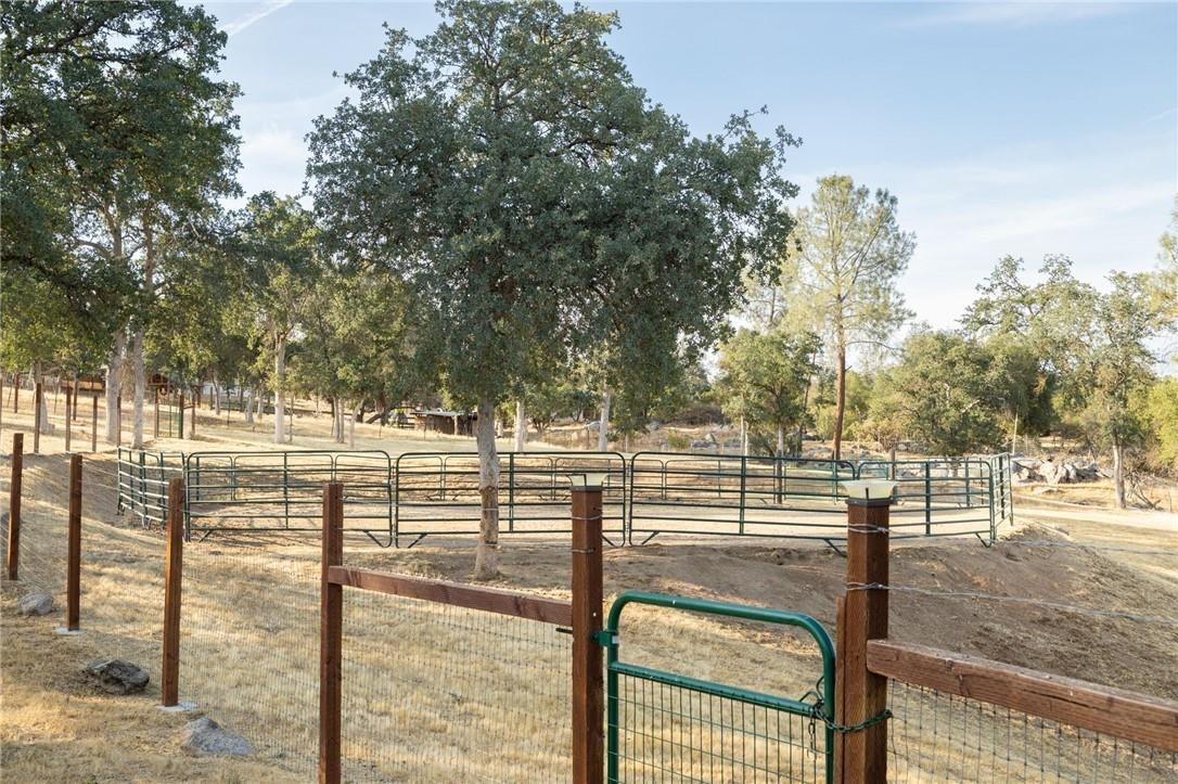 32057 River Knolls Road Coarsegold, CA 93614 - Photo 15 of 73 a view of a yard with wooden fence
