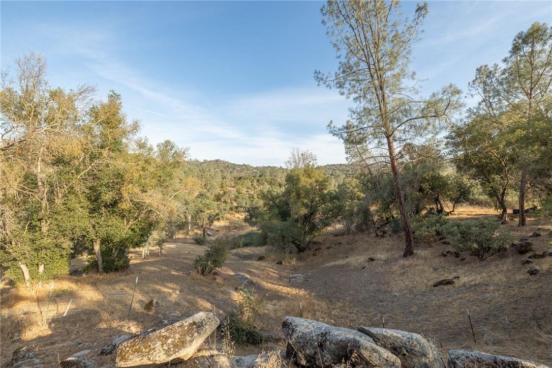 32057 River Knolls Road Coarsegold, CA 93614 - Photo 25 of 73 a view of a large yard with lots of green space