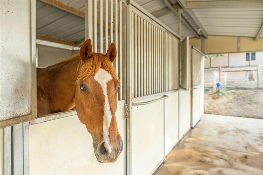 32057 River Knolls Road Coarsegold, CA 93614 - Photo 6 of 73 a view of entryway