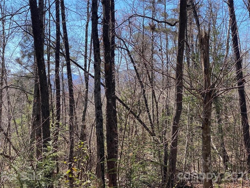 V/l Off Henry Mc Call Road Marion, NC 28752 - Photo 1 of 13 Gallery Image 1