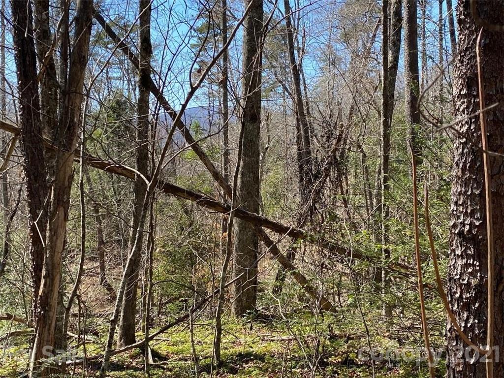V/l Off Henry Mc Call Road Marion, NC 28752 - Photo 2 of 13 Gallery Image 2
