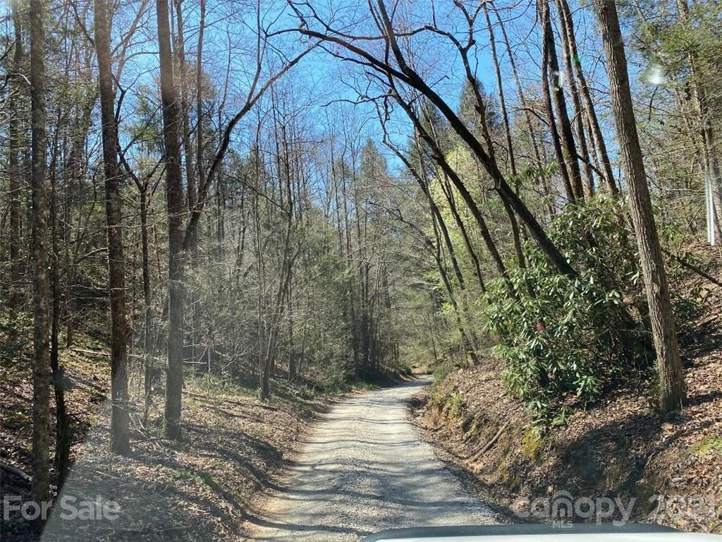 V/l Off Henry Mc Call Road Marion, NC 28752 - Photo 3 of 13 Gallery Image 3