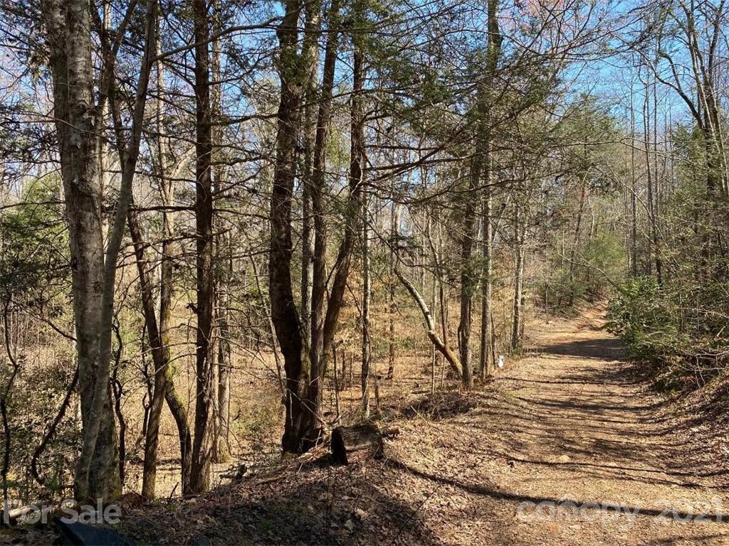 V/l Off Henry Mc Call Road Marion, NC 28752 - Photo 5 of 13 Gallery Image 5