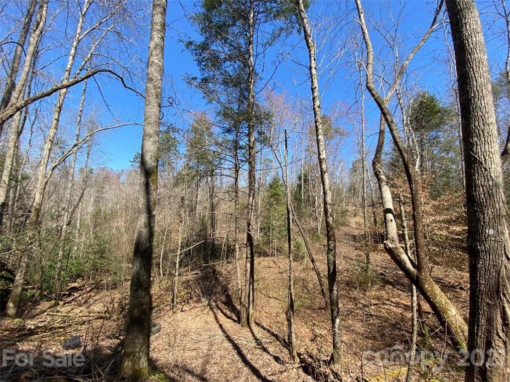 V/l Off Henry Mc Call Road Marion, NC 28752 - Photo 6 of 13 Gallery Image 6
