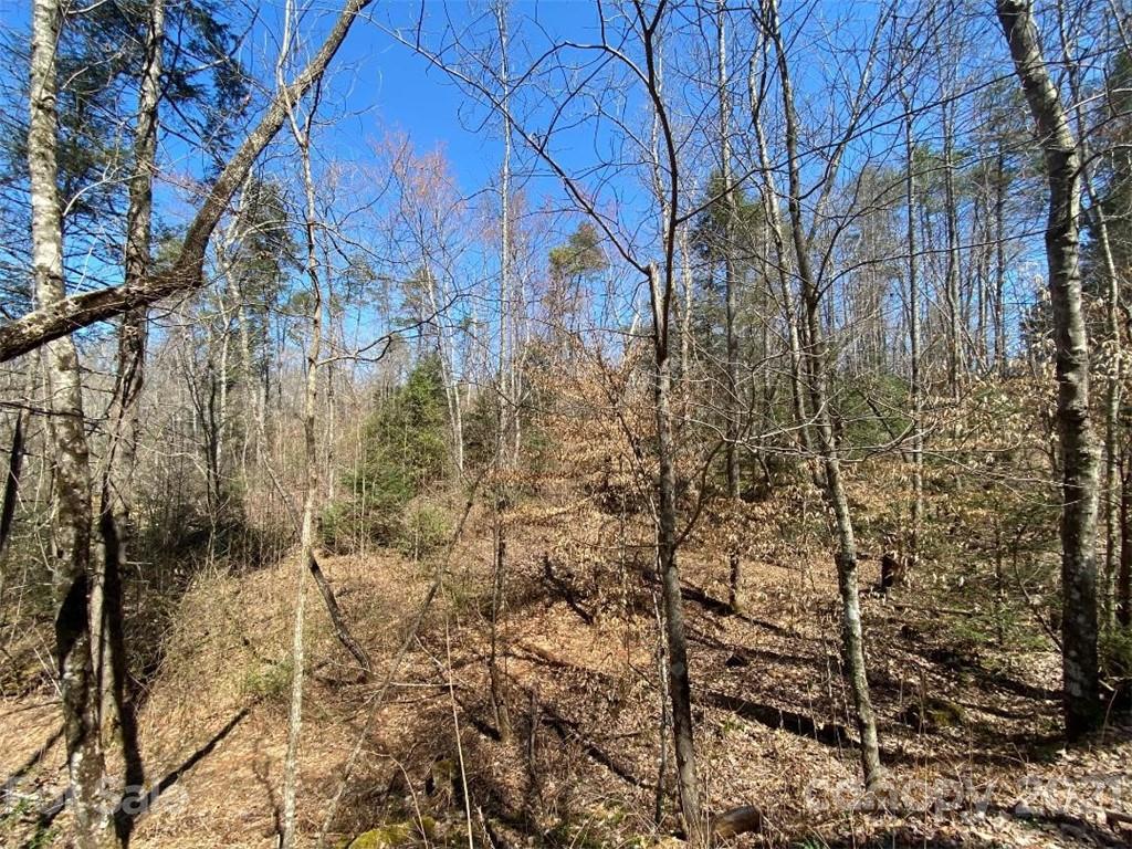 V/l Off Henry Mc Call Road Marion, NC 28752 - Photo 7 of 13 Gallery Image 7