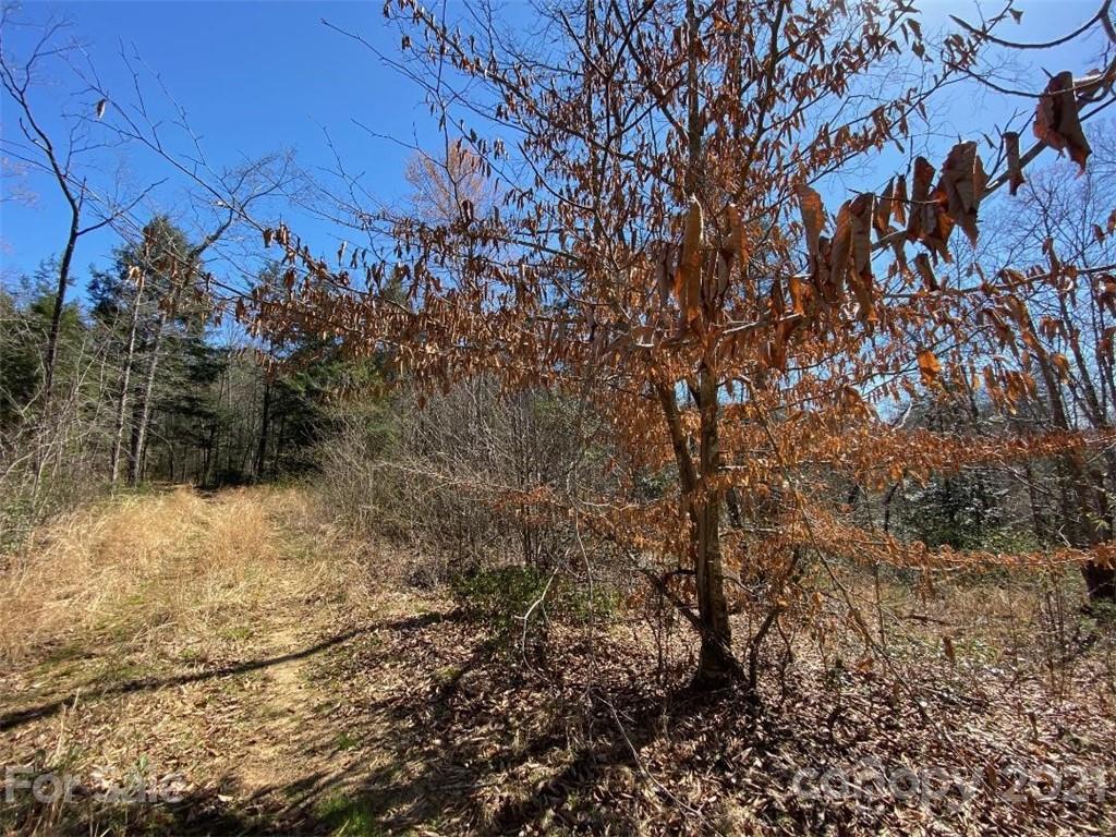 V/l Off Henry Mc Call Road Marion, NC 28752 - Photo 8 of 13 Gallery Image 8