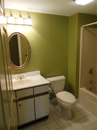 2 Shady Brook, Unit 2 West Springfield, MA 01089 - Photo 19 of 28 a bathroom with a sink a toilet and a mirror