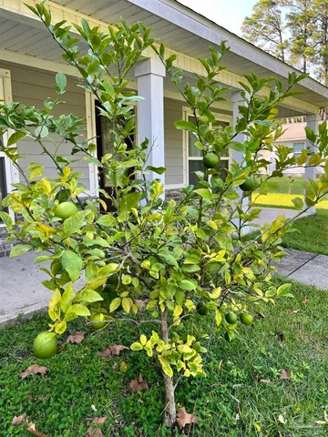 an empty room with a window and chandelier fan