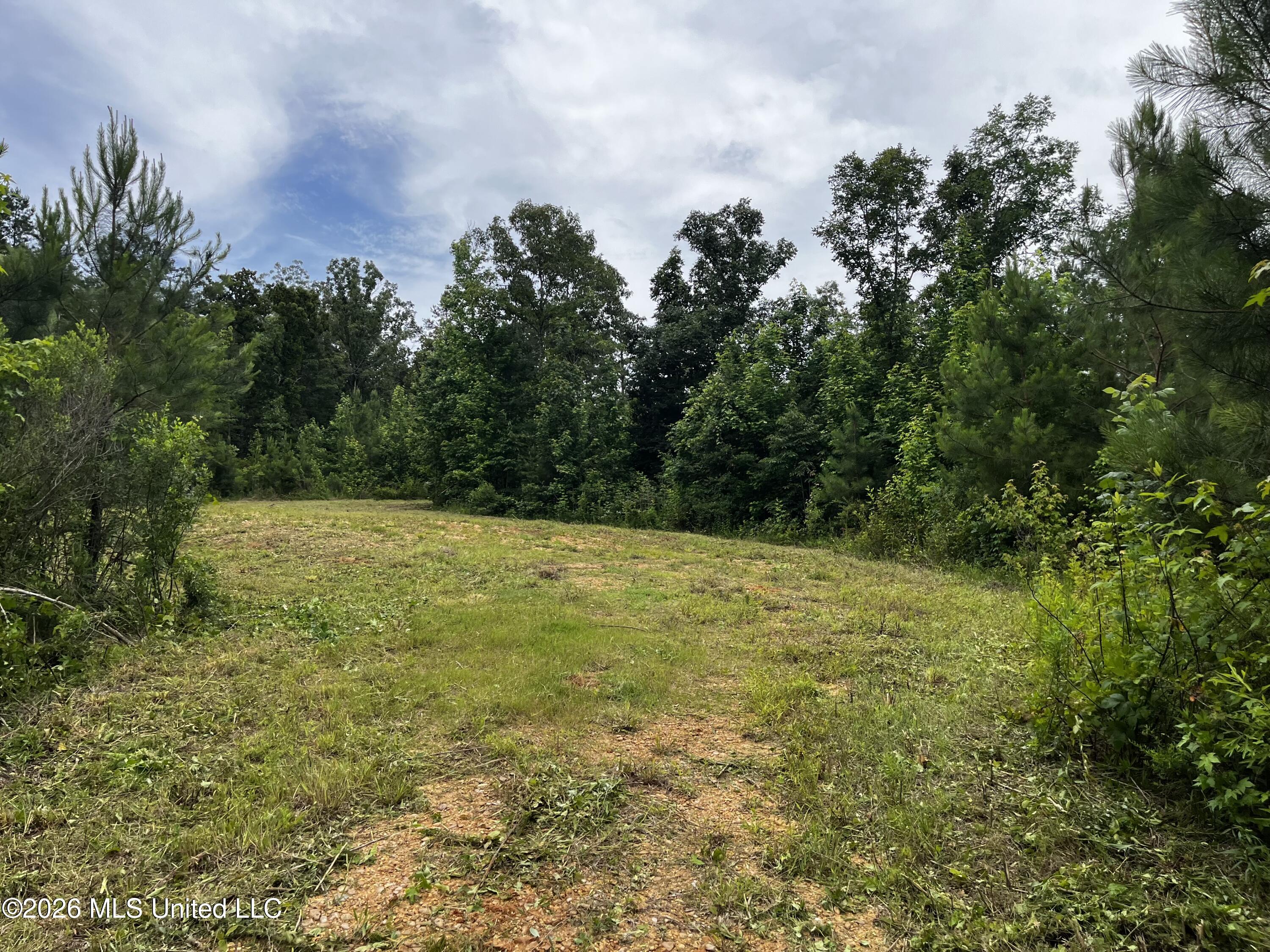 Cline Road Wesson, MS 39191 - Photo 9 of 16 IMG_1149