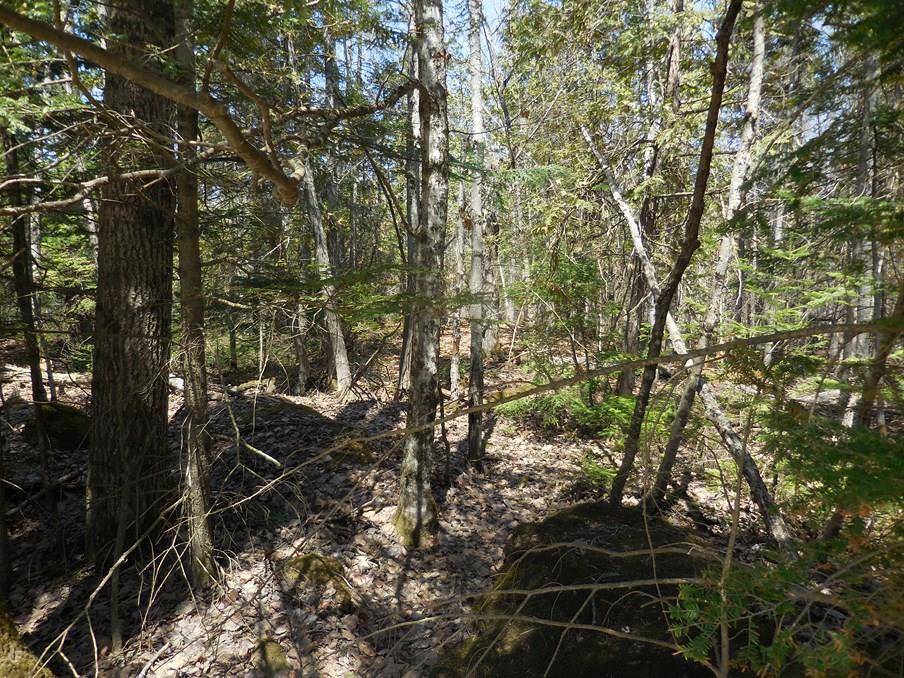 0 Coboro Road Stetson, ME 04488 - Photo 2 of 24 Photo