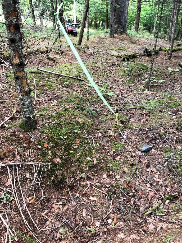 Lot 238 Black Point Road Beaver Cove, ME 04441 - Photo 36 of 43 IMG_2230