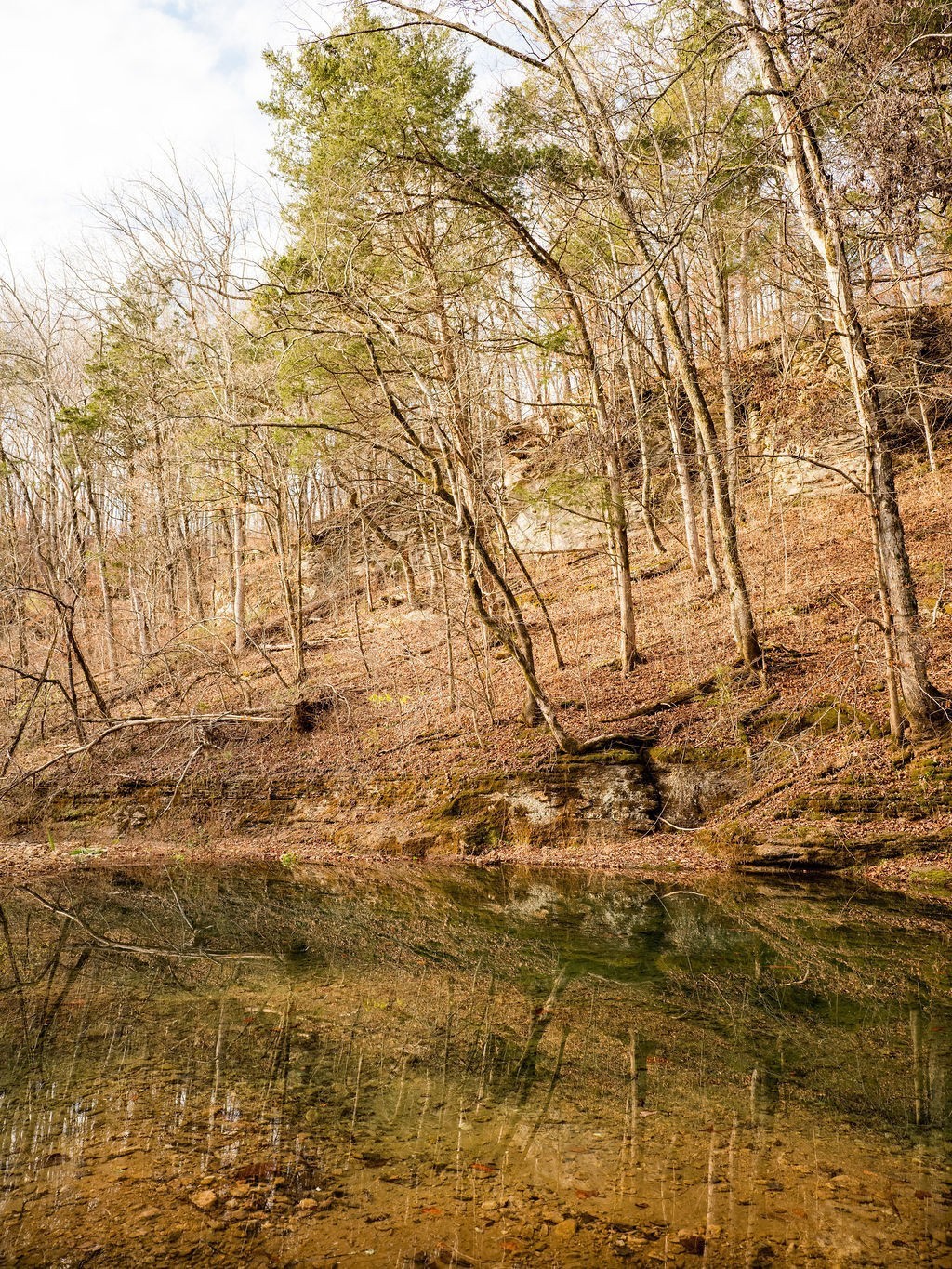 6415 Pinewood Road Nunnelly, TN 37137 - Photo 44 of 94 Gallery Image 44