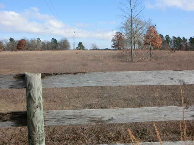 F & G Pickett Post Road Windsor, SC 29856 - Photo 3 of 18