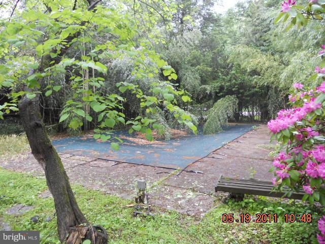 2403 Logan Road Owings Mills, MD 21117 - Photo 3 of 15 a picture of flowers