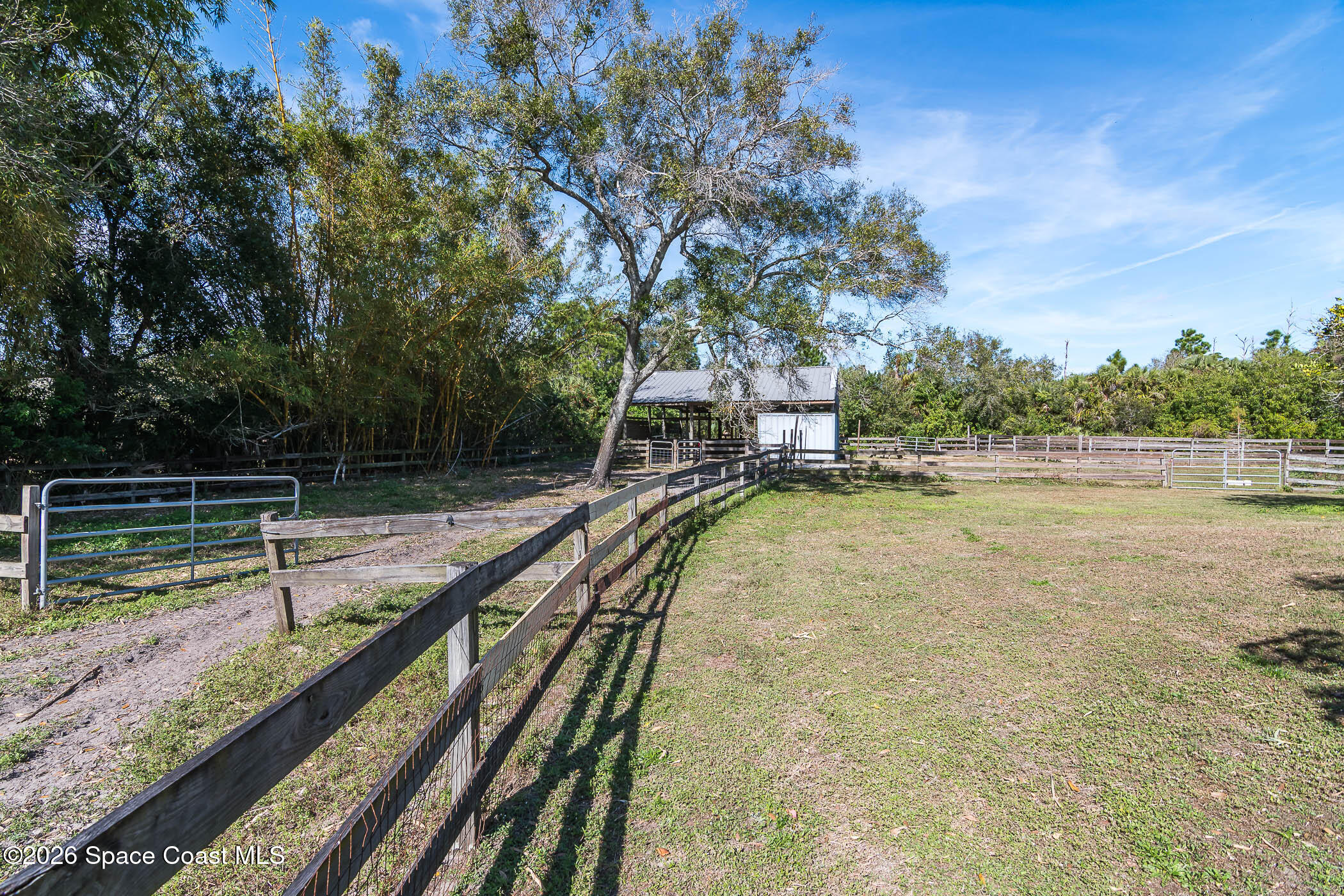 5101 Craig Road Cocoa, FL 32926 - Photo 15 of 62 a view of a swimming pool with a chair and trees in the background