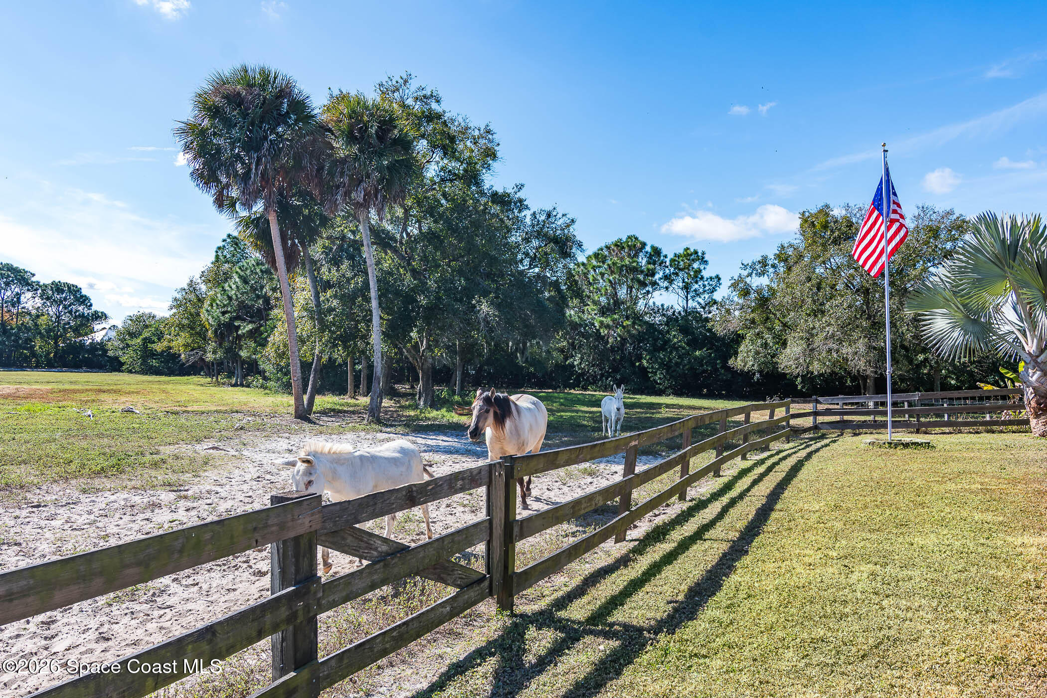 5101 Craig Road Cocoa, FL 32926 - Photo 16 of 62 a view of a swimming pool with a bench and trees around