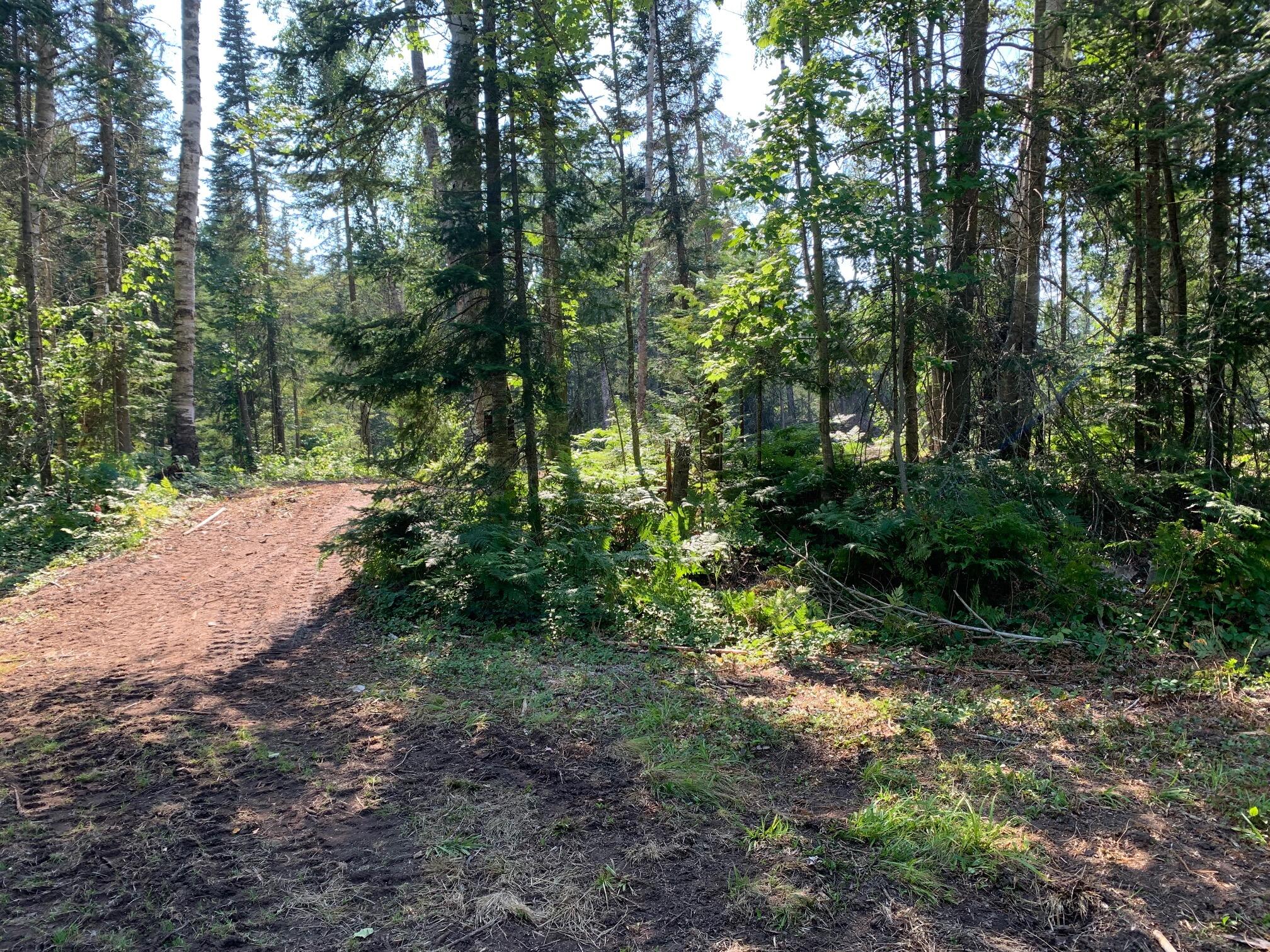 9015 North Whitefish Point Road Paradise, MI 49768 - Photo 12 of 32 Gallery Image 12