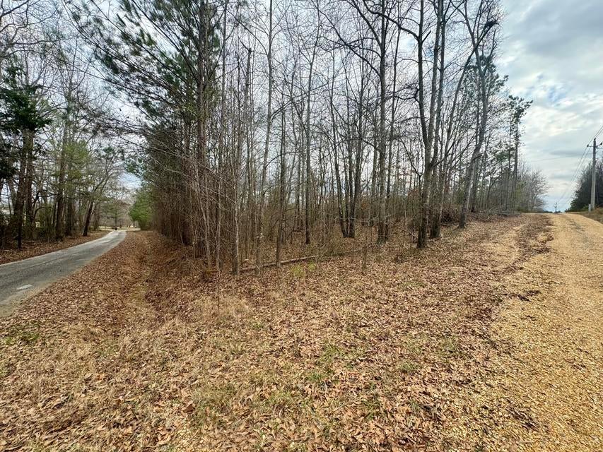 4 Sartain Road Dennis, MS 38838 - Photo 6 of 6 20250208212307764781000000-o