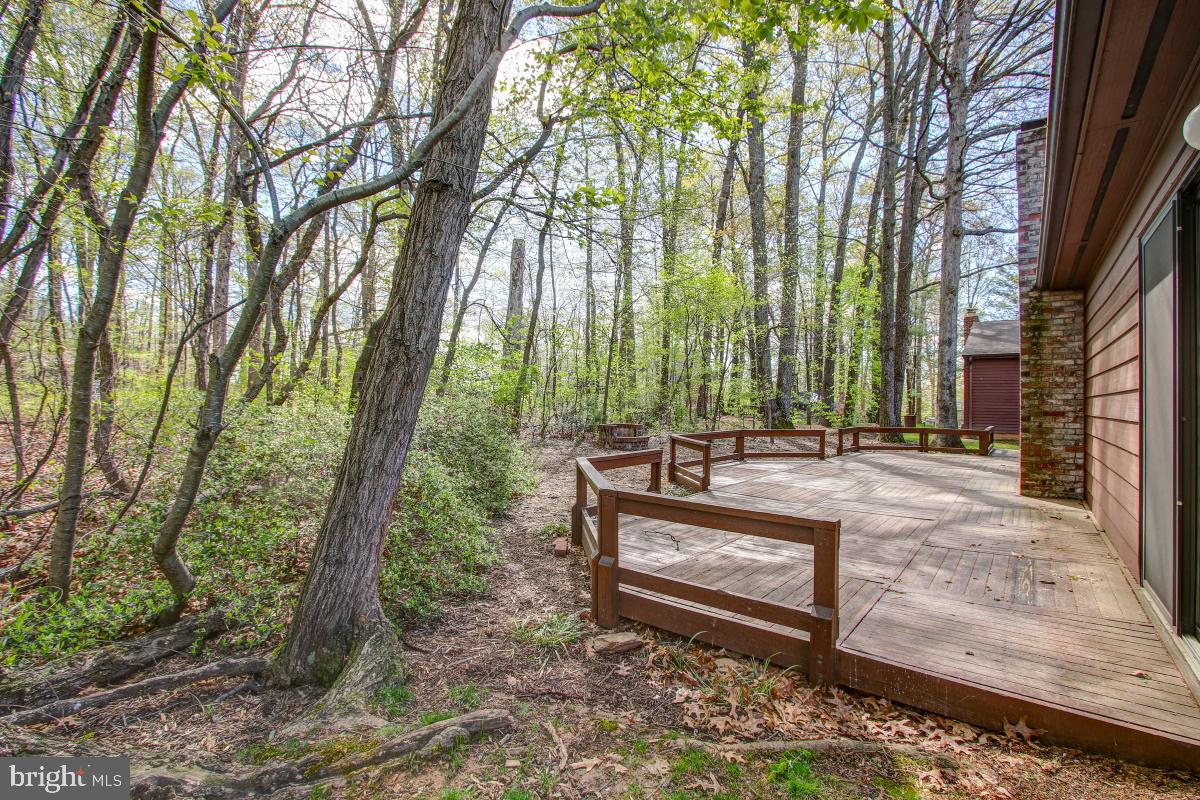 2113 Owls Cove Lane Reston, VA 20191 - Photo 35 of 35