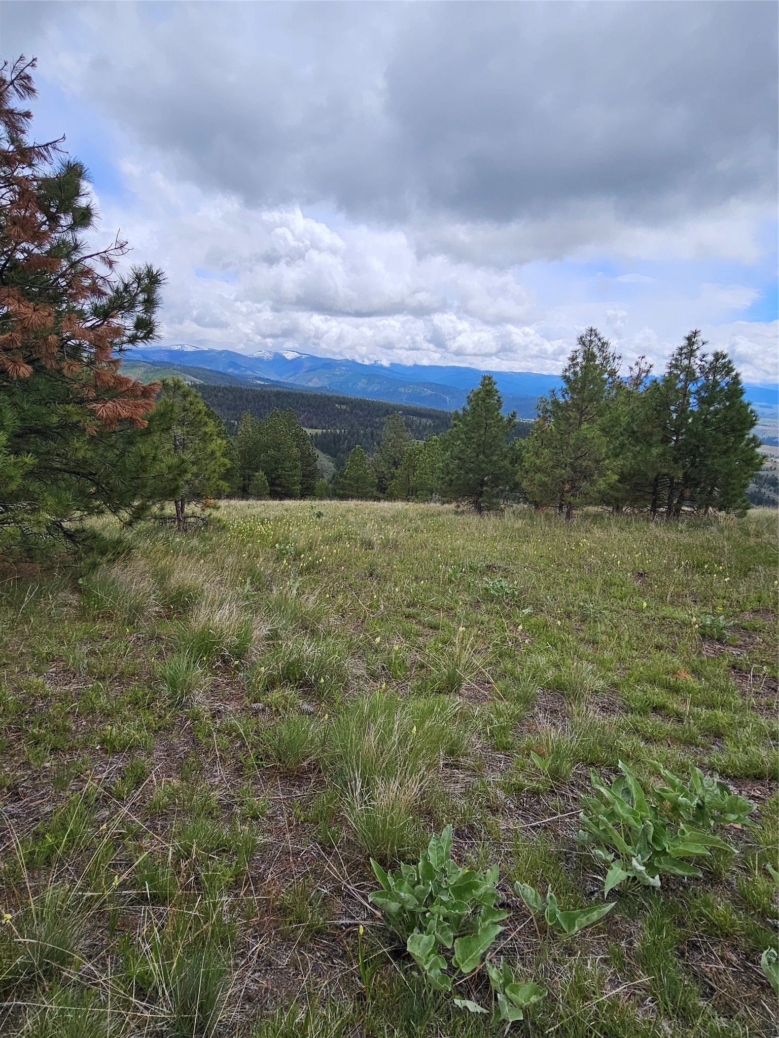 18866 Copper Rdg Trail Florence, MT 59833 - Photo 51 of 139 Gallery Image 51