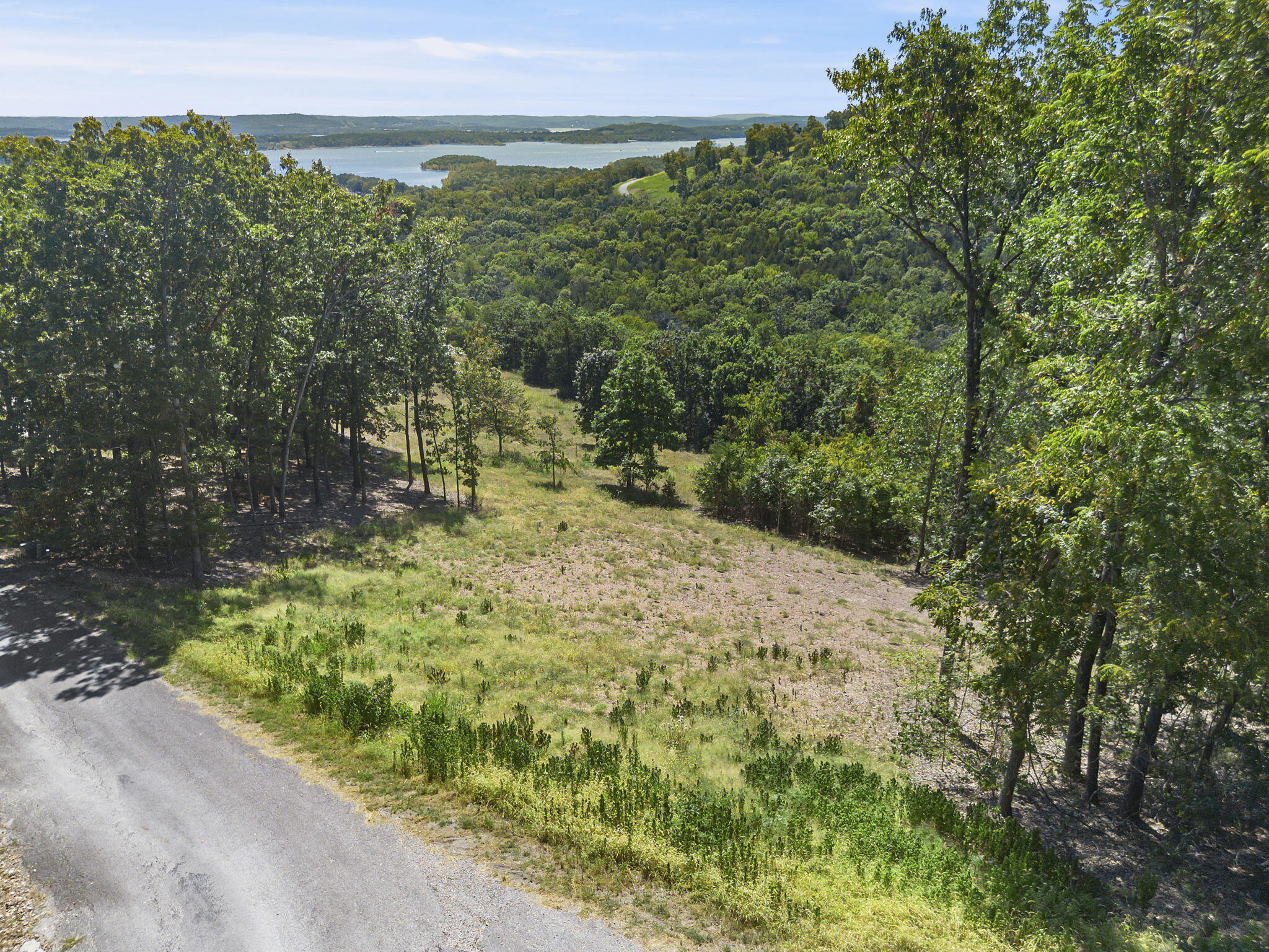 Lot 9 Lazarus Rd Branson Road Reeds Spring, MO 65737 - Photo 15 of 30 Lot-9-Lazarus-Rd-Build-by-the-Lake