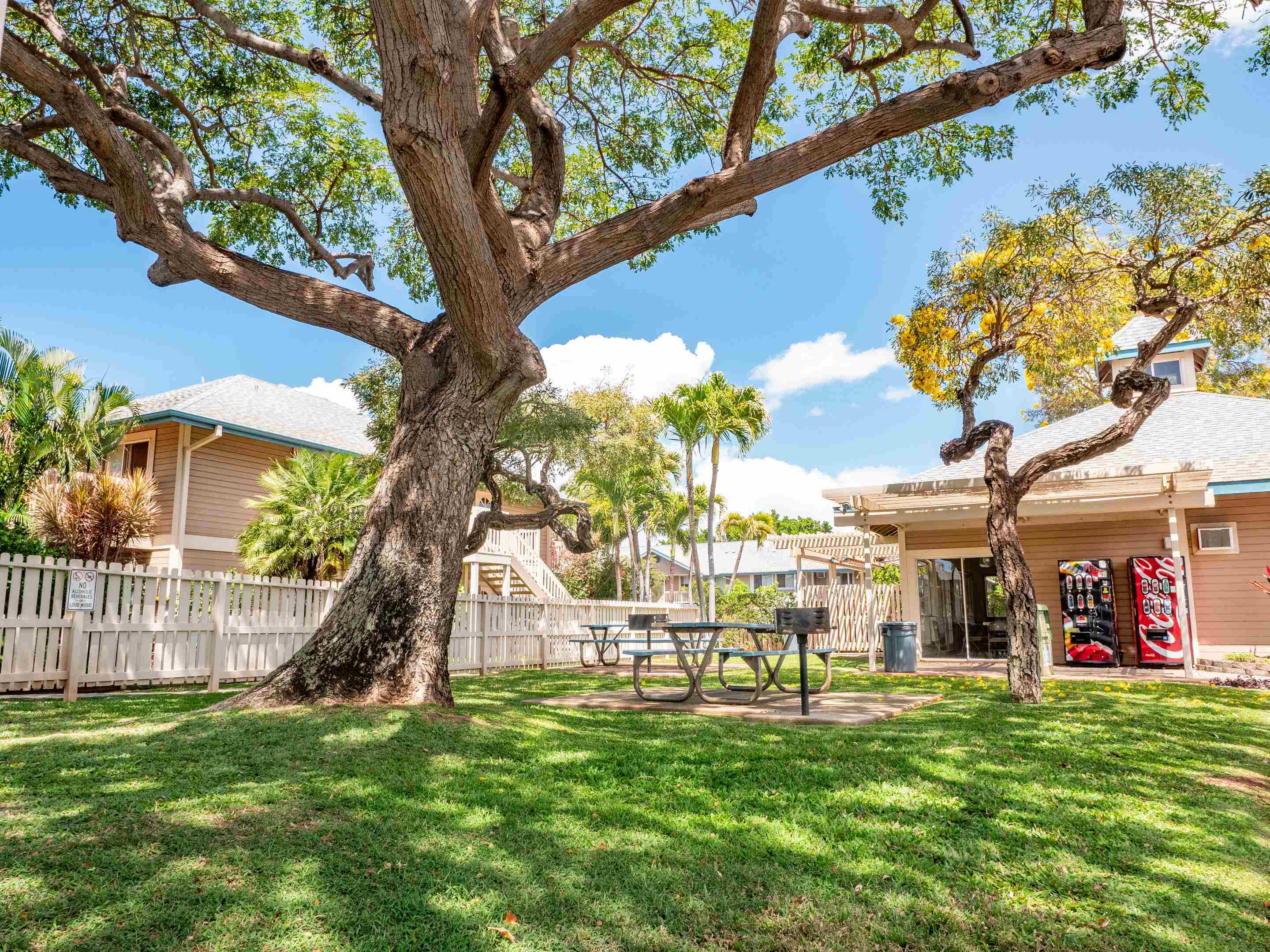 480 Kenolio Road, Unit 30206 Kihei, HI 96753 - Photo 17 of 20 a view of a park that has a tree in it