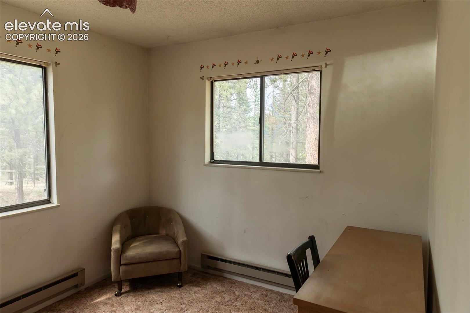 2644 Pathfinder Road Florissant, CO 80816 - Photo 6 of 14 Gallery Image 6