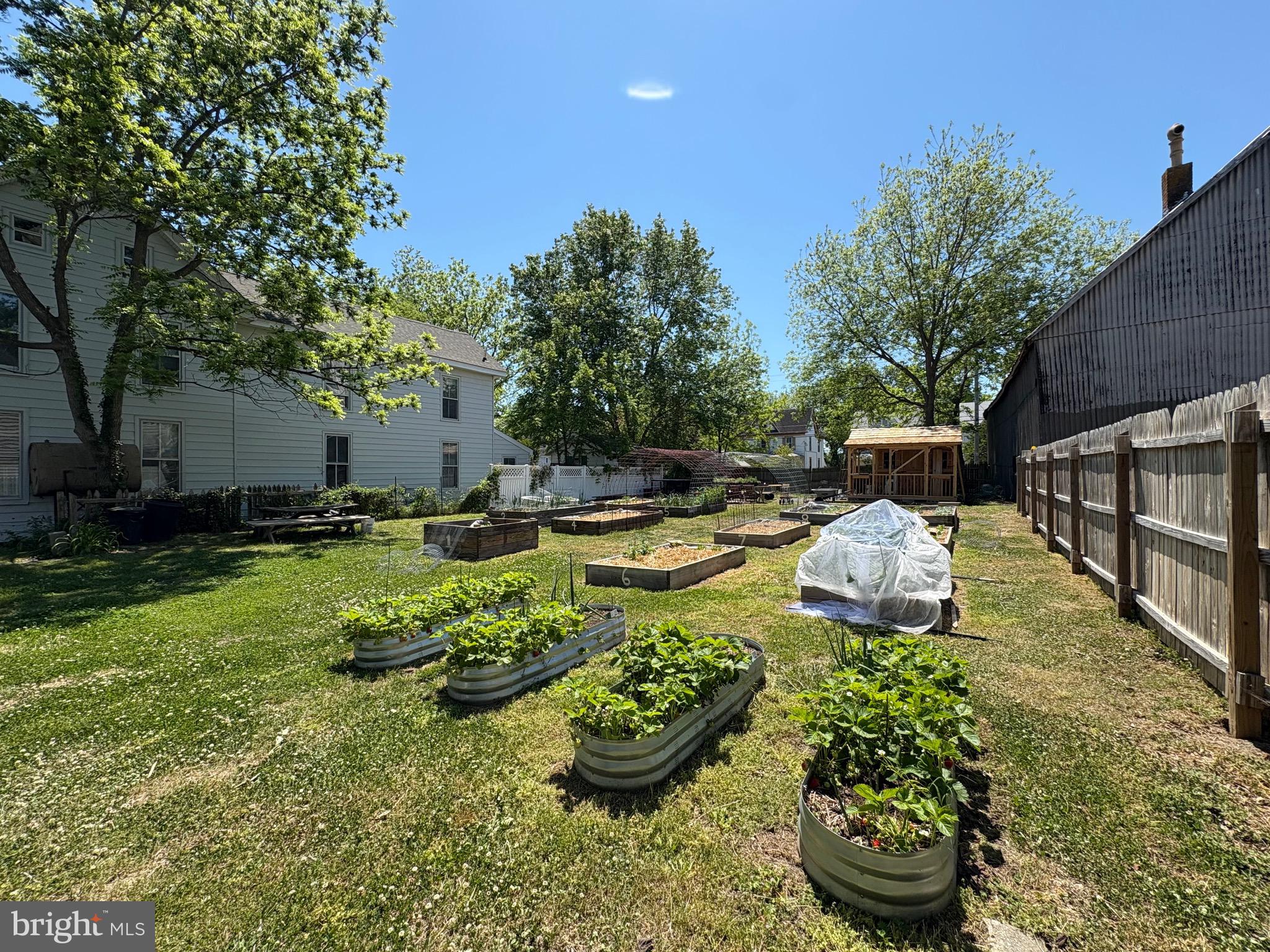 817 Locust Street Cambridge, MD 21613 - Photo 36 of 50 Community Garden - Across the Street
