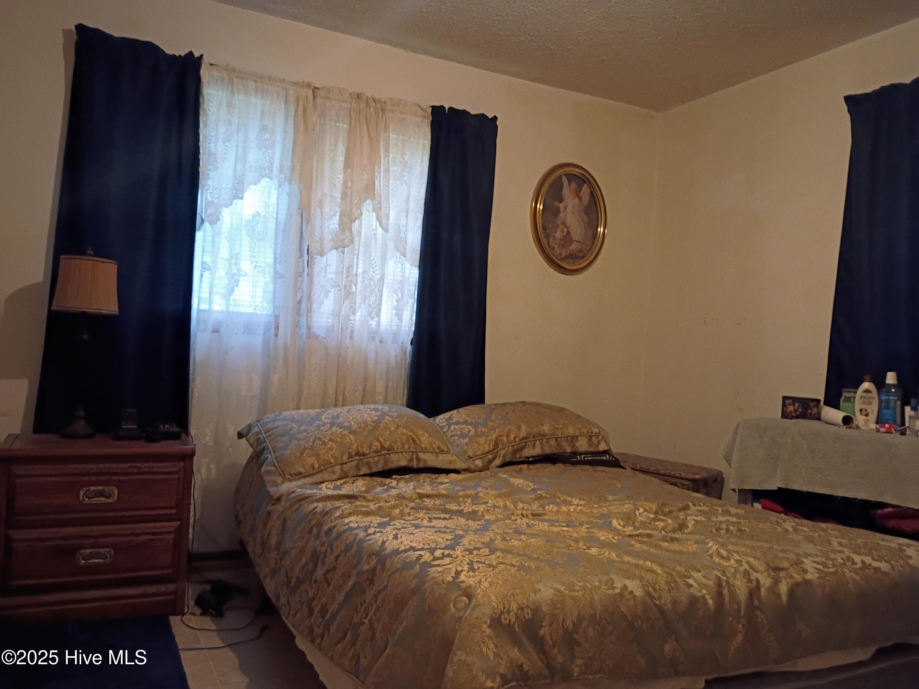 157 East Goodman Road Fair Bluff, NC 28439 - Photo 11 of 19 IMG_20250724_191050311 (1)