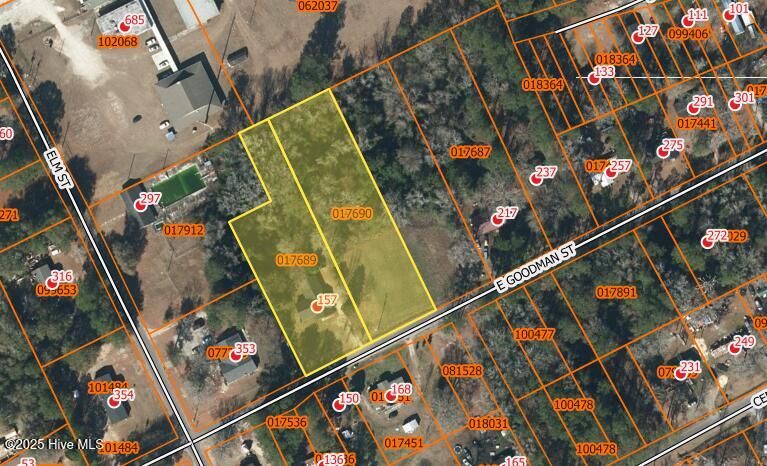 157 East Goodman Road Fair Bluff, NC 28439 - Photo 18 of 19 The layout of the land