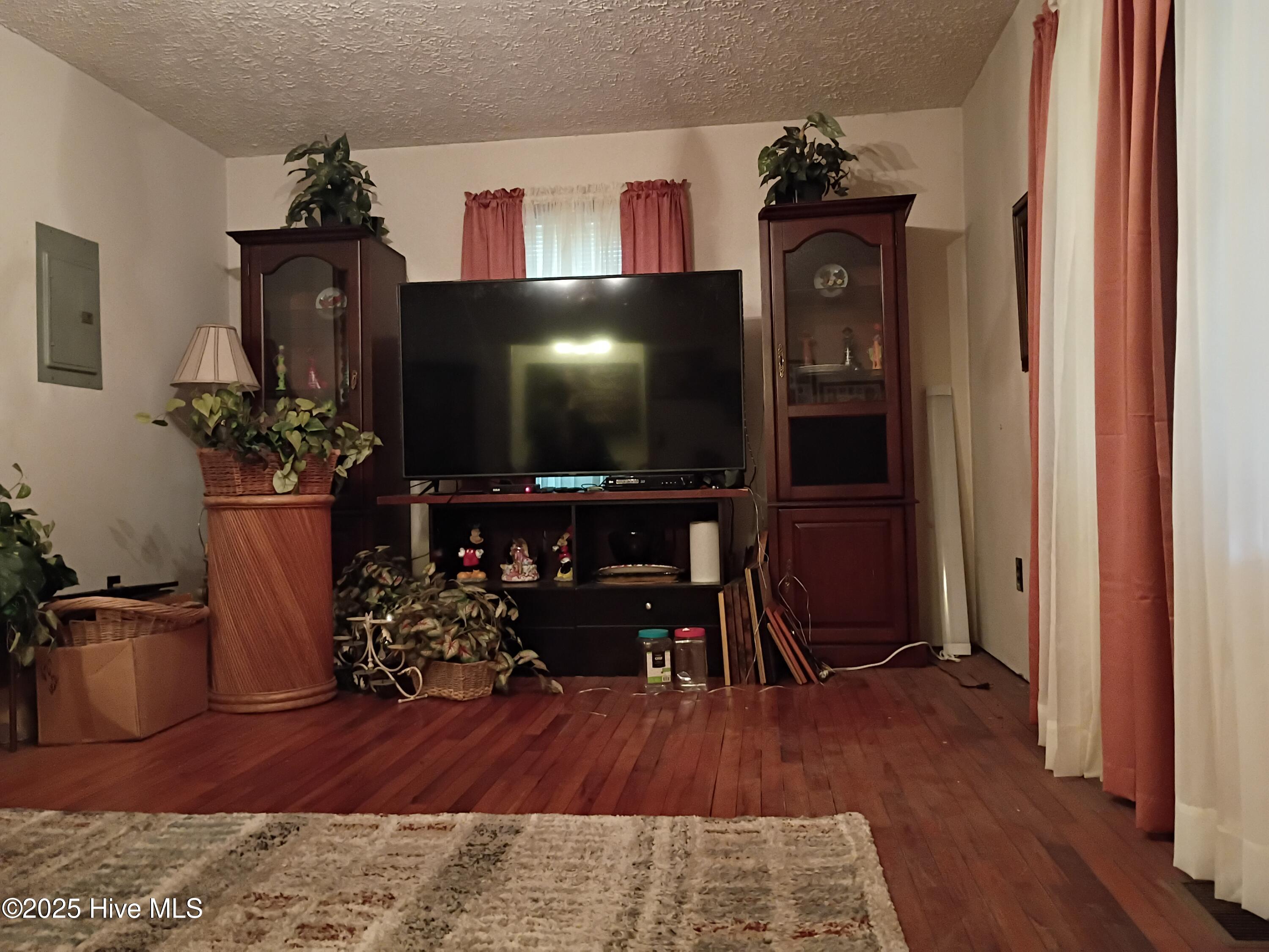 157 East Goodman Road Fair Bluff, NC 28439 - Photo 3 of 19 Front Room