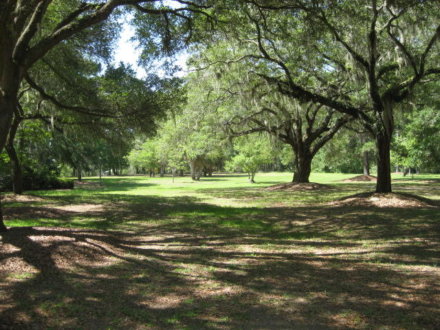 2184 Megget Point Road Edisto Island, SC 29438 - Photo 23 of 80 2184 Meggett Pt (5)