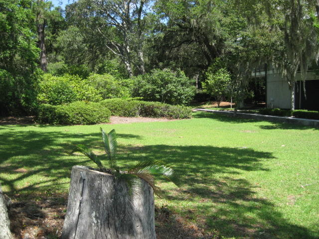 2184 Megget Point Road Edisto Island, SC 29438 - Photo 34 of 80 2184 Meggett Pt (17)