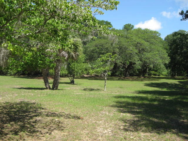 2184 Megget Point Road Edisto Island, SC 29438 - Photo 36 of 80 2184 Meggett Pt (19)