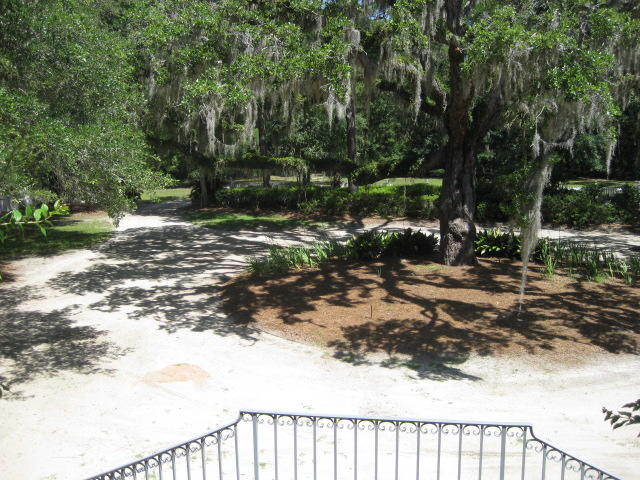 2184 Megget Point Road Edisto Island, SC 29438 - Photo 39 of 80 2184 Meggett Pt (22)