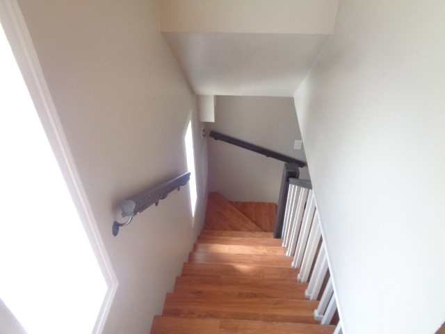 2225 Mimosa Drive, Unit 4 Houston, TX 77019 - Photo 13 of 14