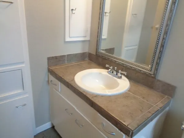 a bathroom with a sink and a mirror