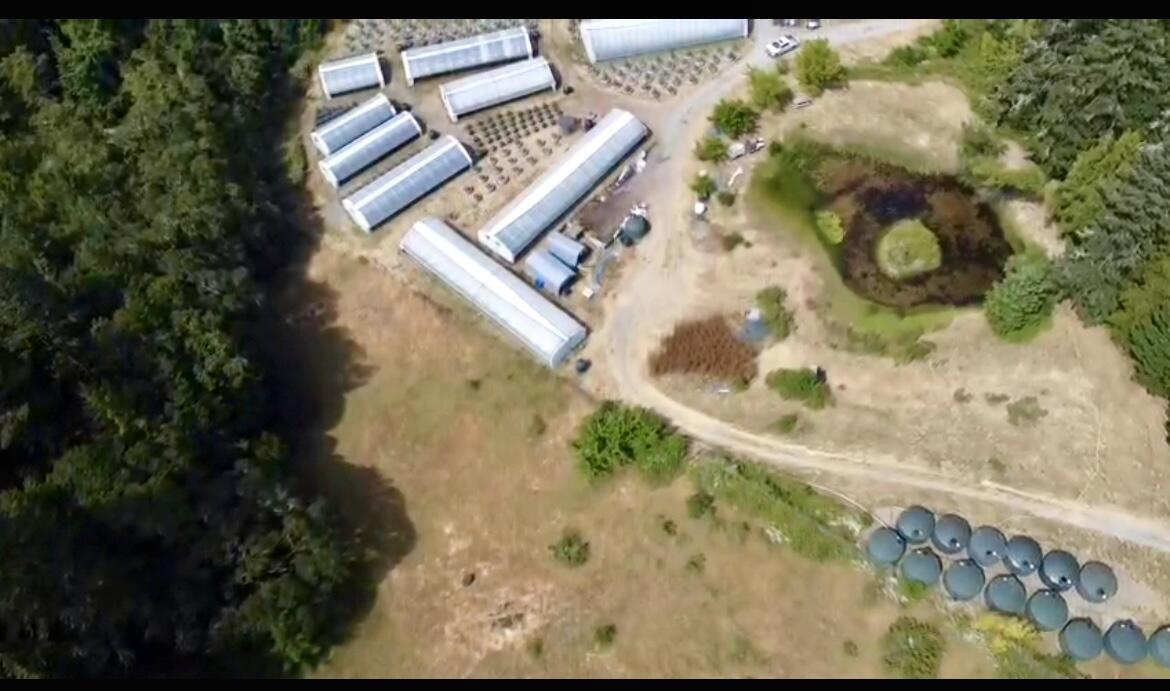 35082 Alderpoint Road Blocksburg, CA 95514 - Photo 7 of 71