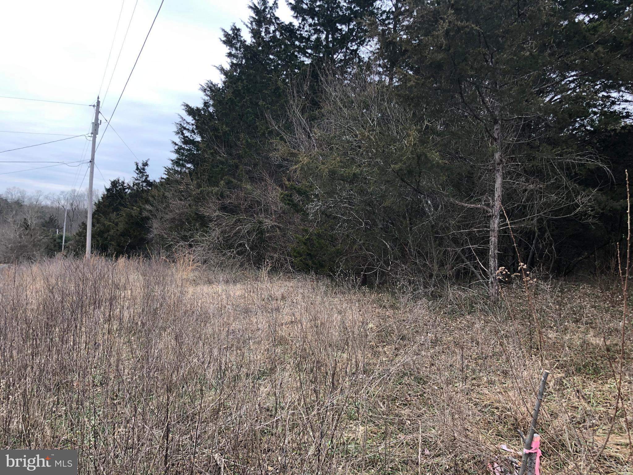 Guard Road Middletown, VA 22645 - Photo 19 of 19 a view of a dry yard with trees