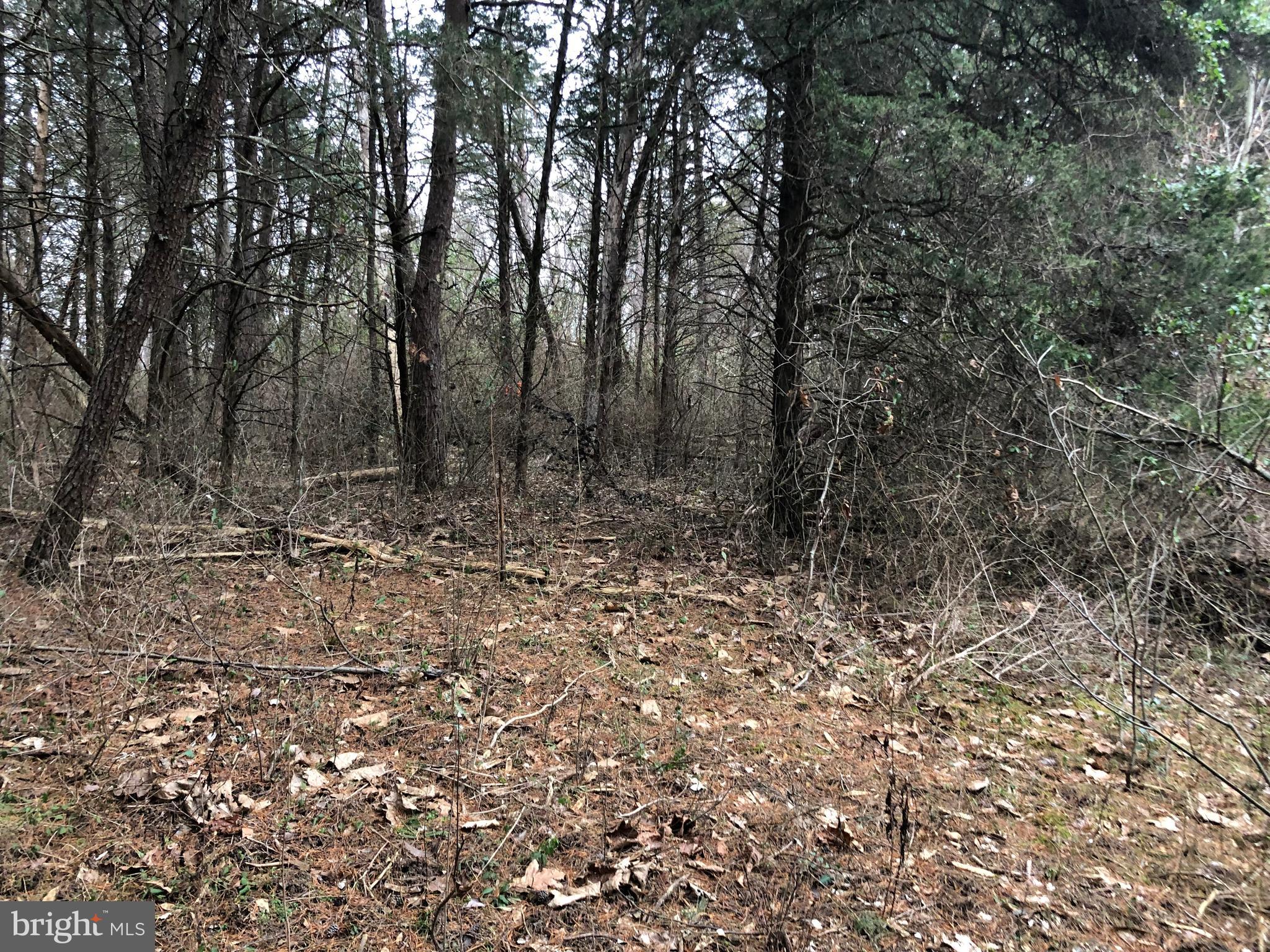 Guard Road Middletown, VA 22645 - Photo 4 of 19 a view of a yard with trees in the background