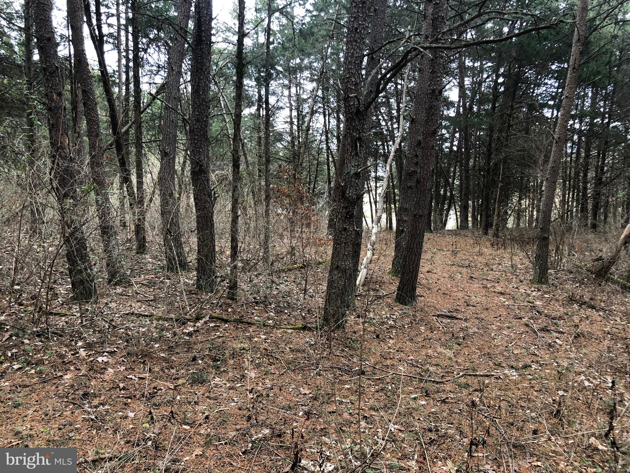 Guard Road Middletown, VA 22645 - Photo 10 of 19 a view of outdoor space with lots of trees