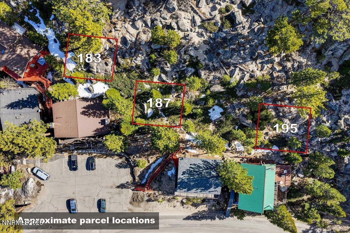 187 Tramway Drive Stateline, NV 89449 - Photo 2 of 10 a view of flowers in front of a house