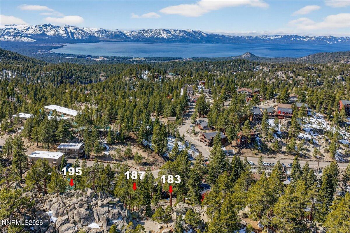187 Tramway Drive Stateline, NV 89449 - Photo 4 of 10 a view of a bunch of trees and houses