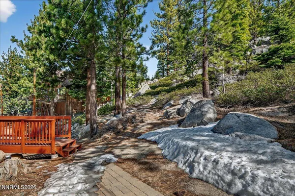 a view of a backyard with wooden fence and large trees
