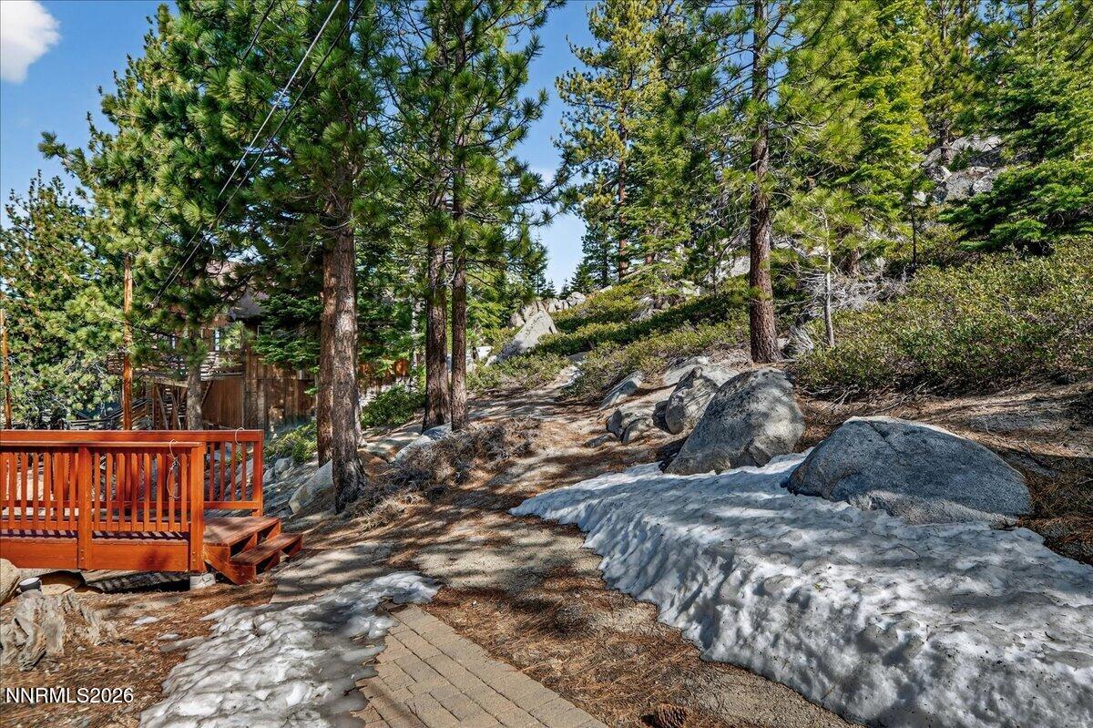 187 Tramway Drive Stateline, NV 89449 - Photo 6 of 10 a view of a backyard with wooden fence and large trees