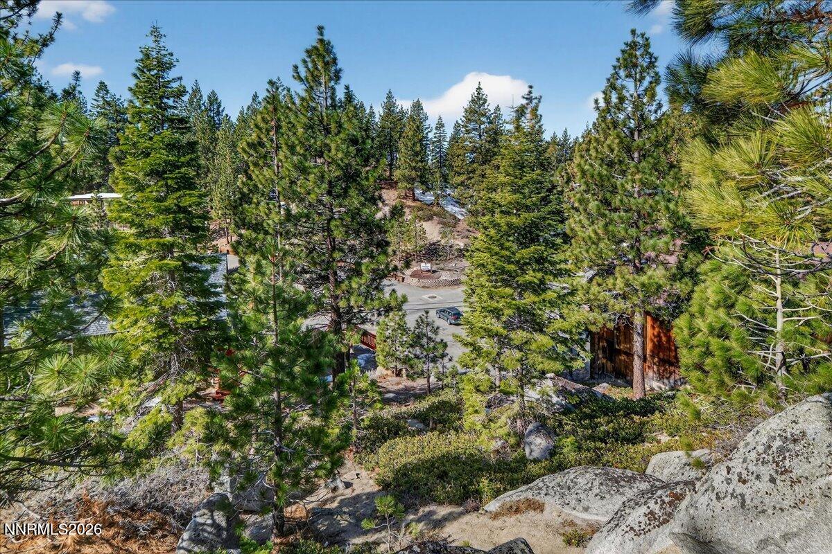 187 Tramway Drive Stateline, NV 89449 - Photo 7 of 10 a backyard of a house with a tree
