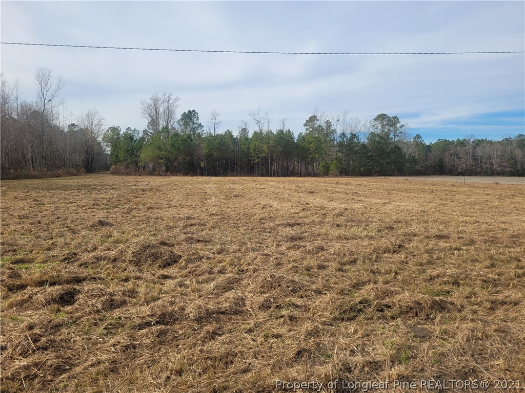 1459 Philadelphus Road Pembroke, NC 28372 - Photo 1 of 2 Gallery Image 1