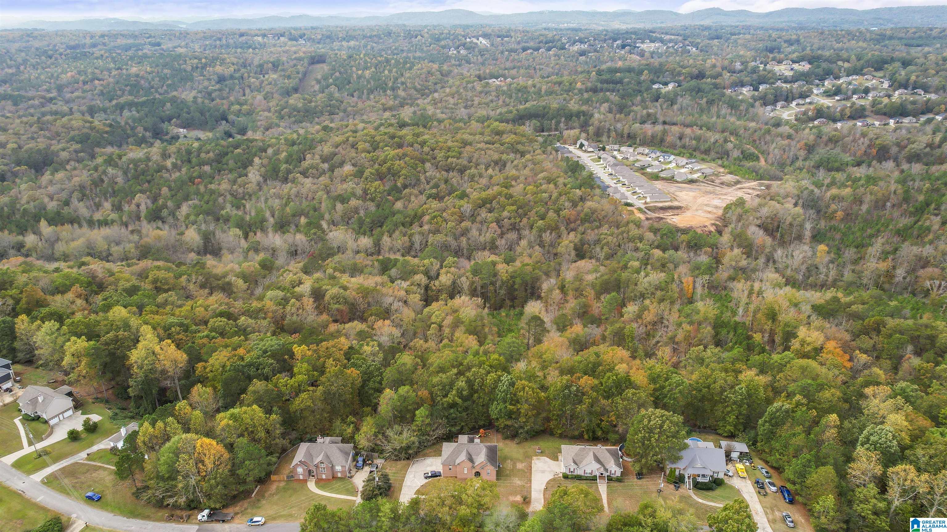 577 Levine Road Odenville, AL 35120 - Photo 43 of 44