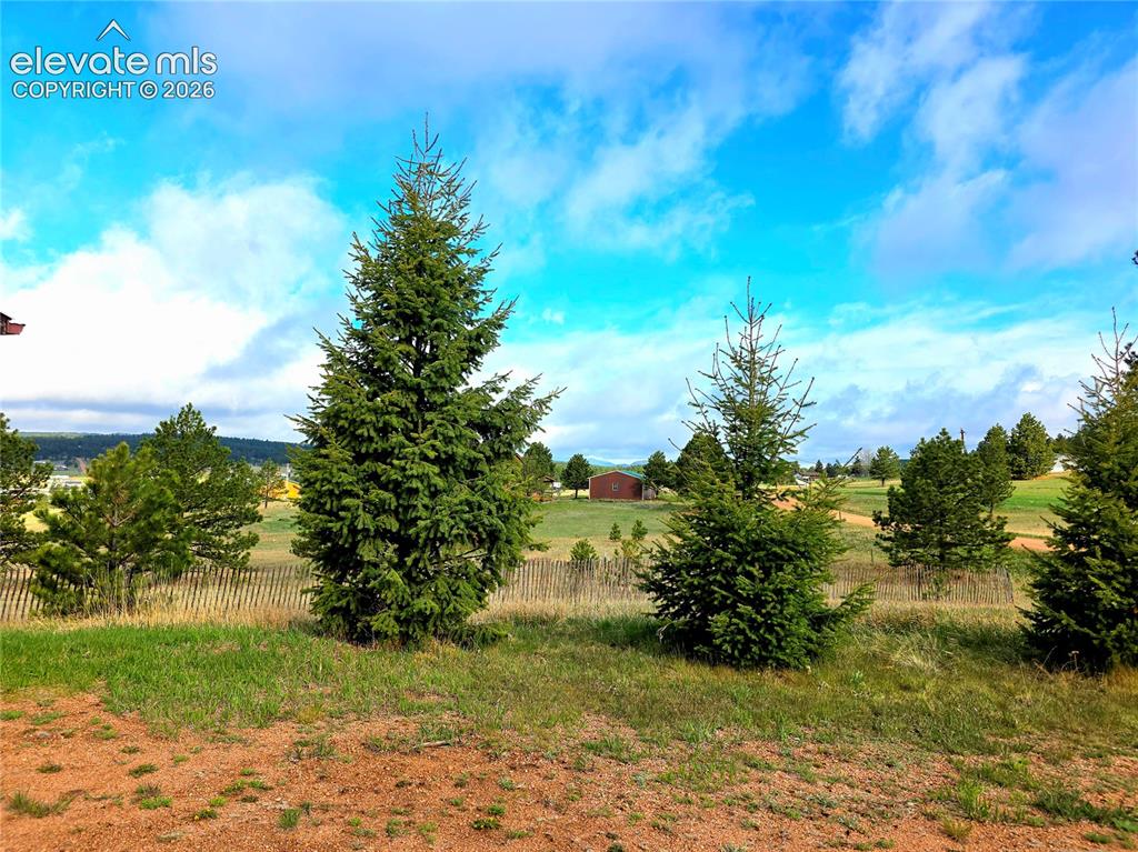 891 North Mountain Estates Road Florissant, CO 80816 - Photo 49 of 49 View from front of home