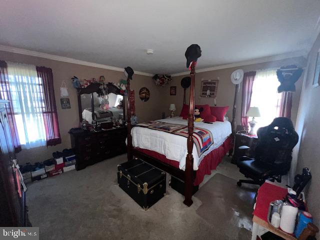 69 Scott Run Circle Bear, DE 19701 - Photo 16 of 21 a bedroom with bed and window